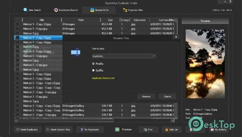 DupInOut Duplicate Finder 1.1.3.5